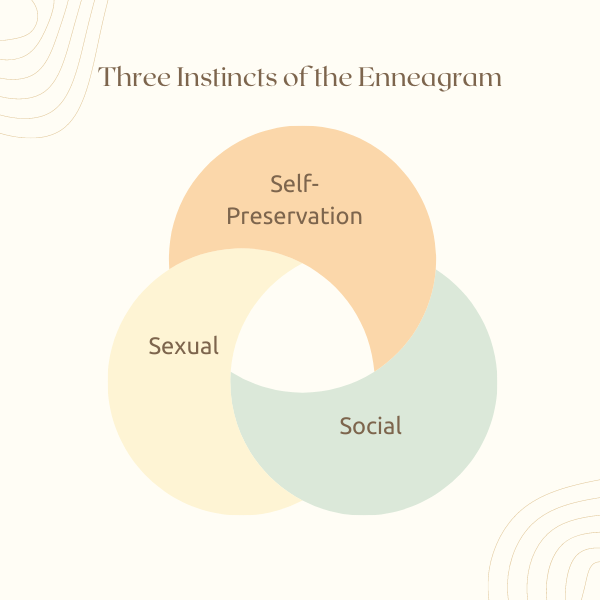three enneagram instincts